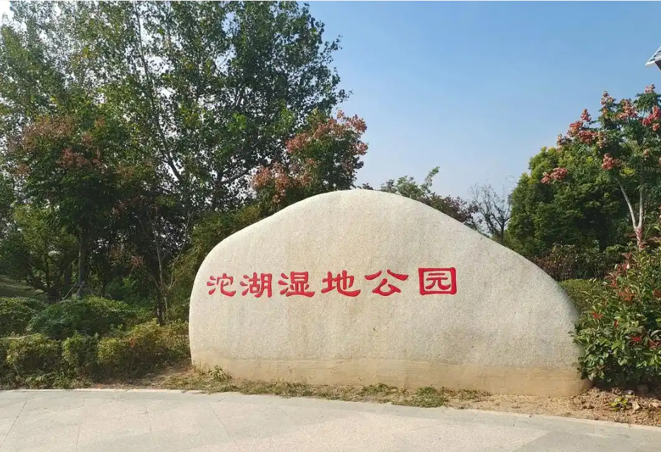 1745381278196630.jpg