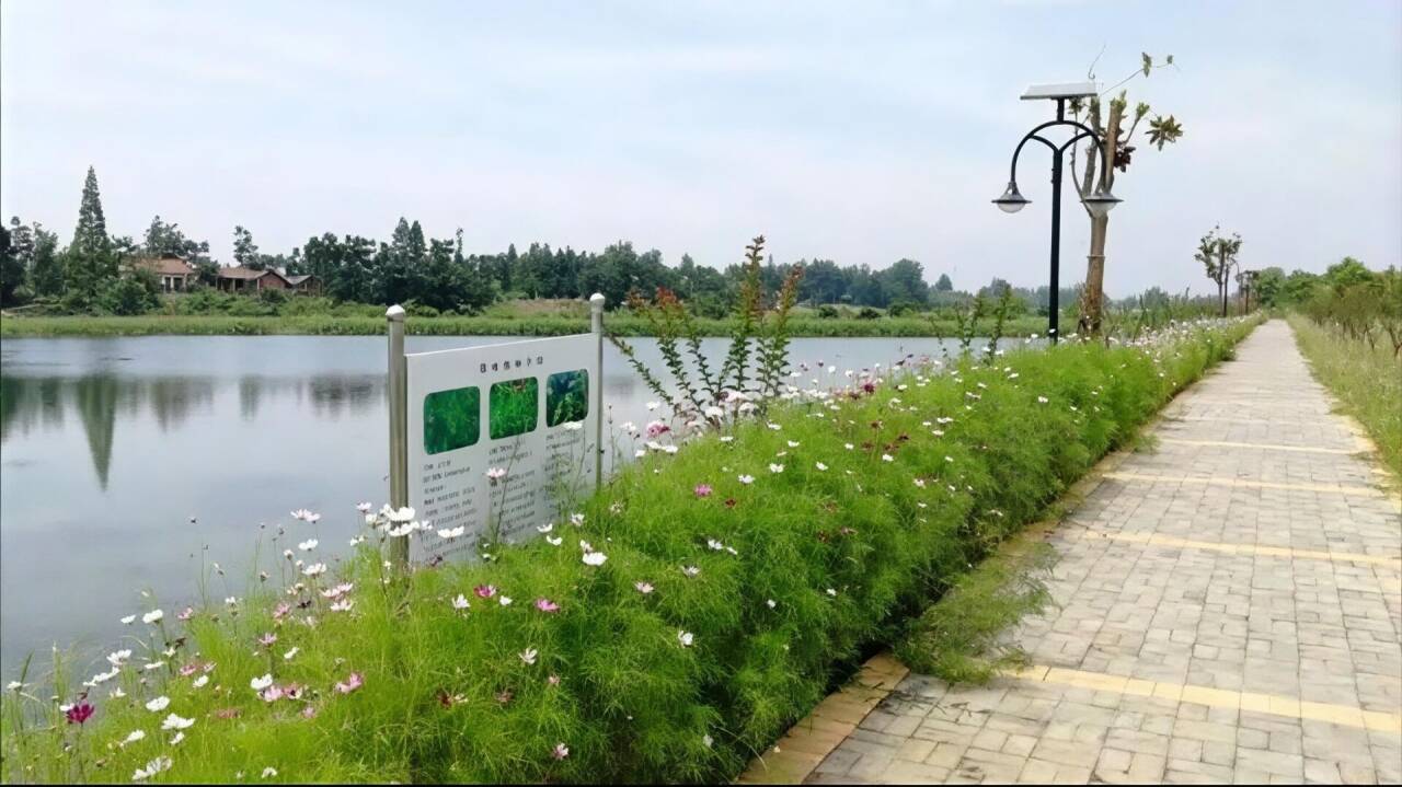 1745744086183627.jpg