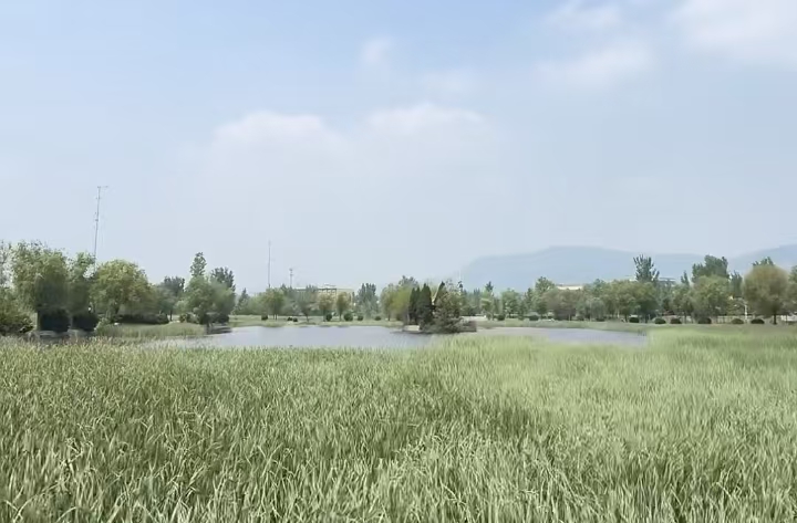 1745755732121543.jpg