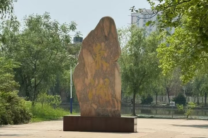 1745755732479536.jpg