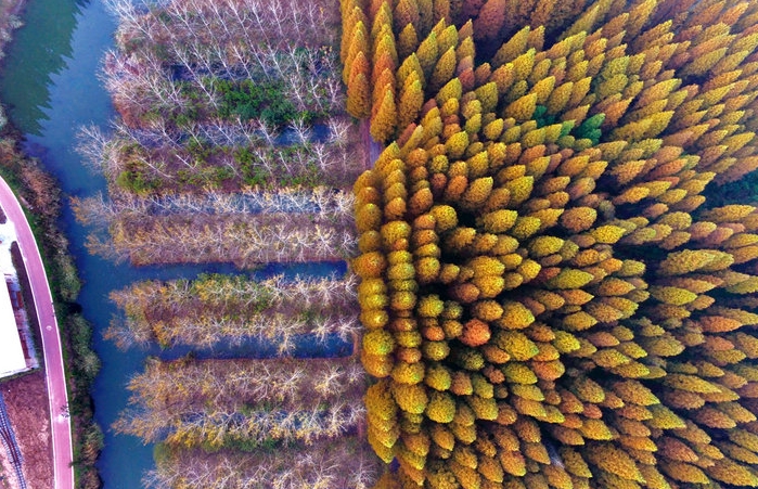 1745893872182476.png