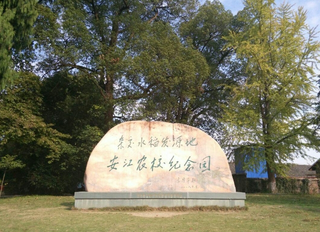 1746002065829264.png
